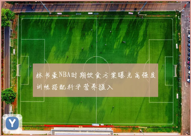 林书豪NBA时期饮食方案曝光高强度训练搭配科学营养摄入