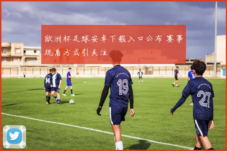 欧洲杯足球安卓下载入口公布 赛事观看方式引关注