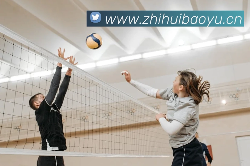 足球世界杯官网中文版平台生态图